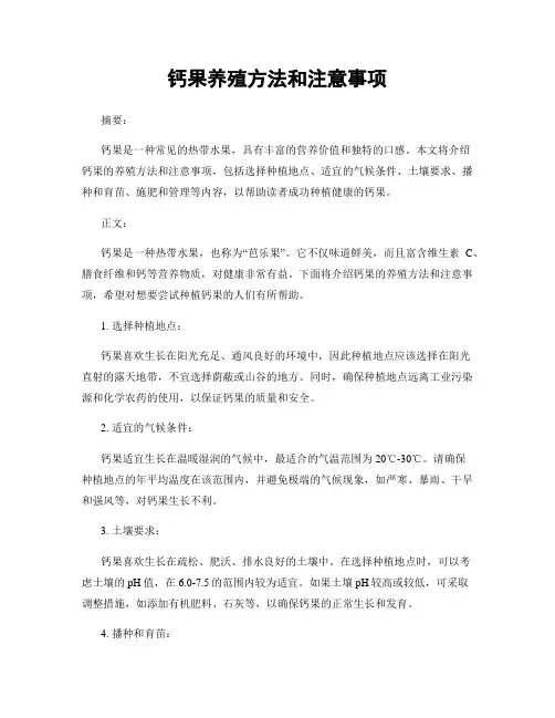钙果养殖方法和注意事项