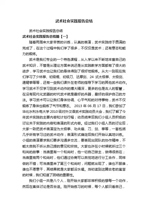 武术社会实践报告总结