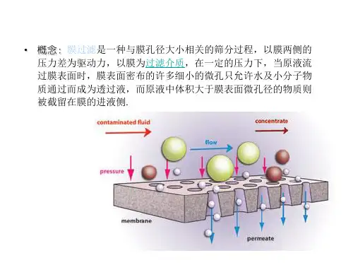 过滤膜简介 ppt课件