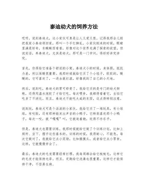 泰迪幼犬的饲养方法