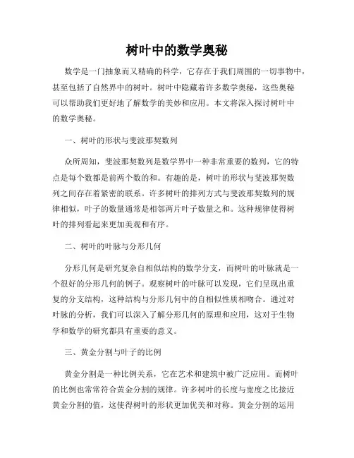 树叶中的数学奥秘
