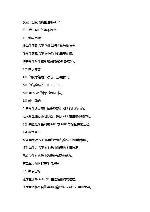 细胞的能量通货ATP(教案)