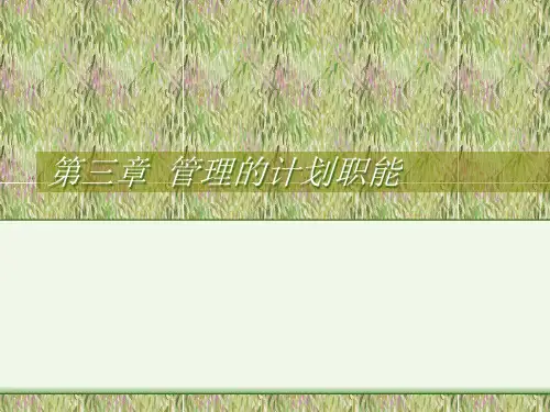 管理学教程第三章管理的计划职能