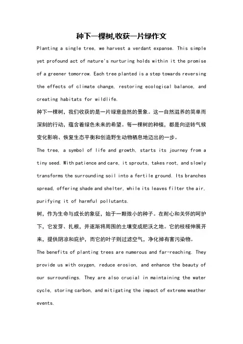 种下一棵树,收获一片绿作文