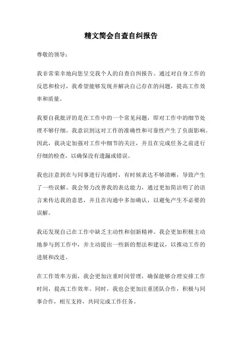 精文简会自查自纠报告