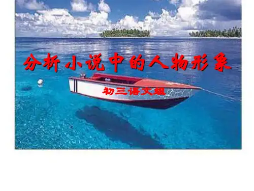 如何分析小说中的人物形象(ppt 31页)