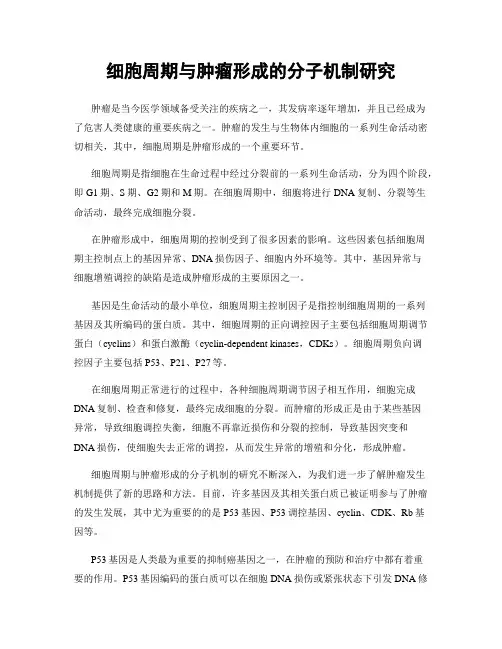 细胞周期与肿瘤形成的分子机制研究