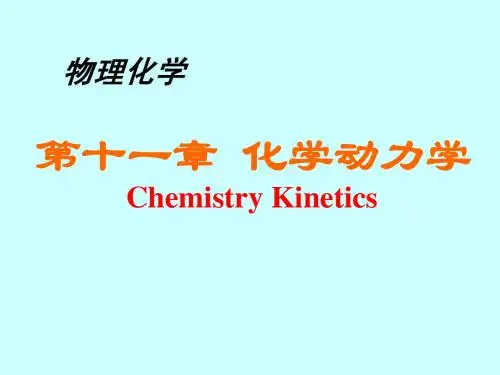 物理化学第十一章