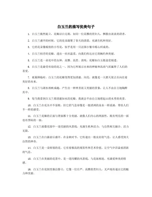 白玉兰的描写优美句子
