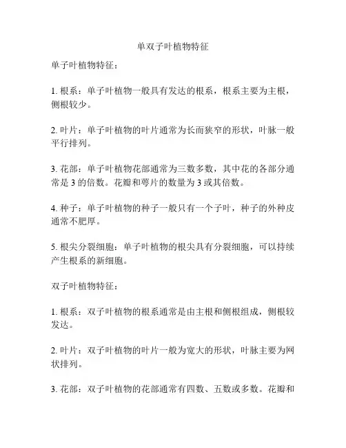 单双子叶植物特征