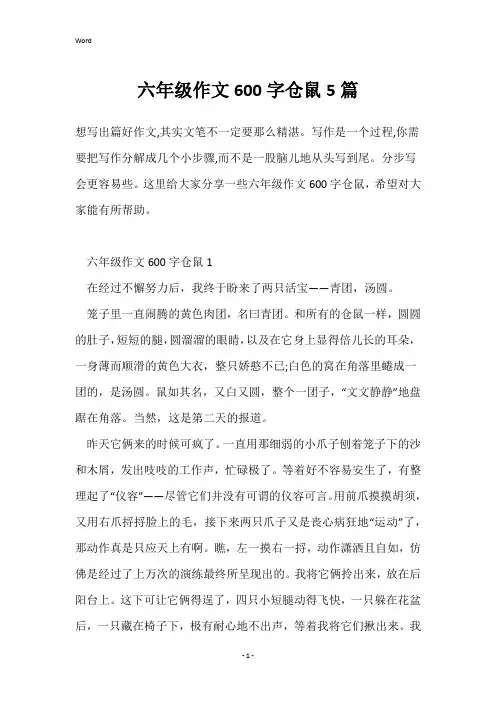 六年级作文600字仓鼠5篇