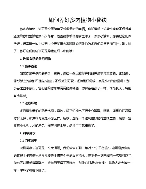 如何养好多肉植物小秘诀
