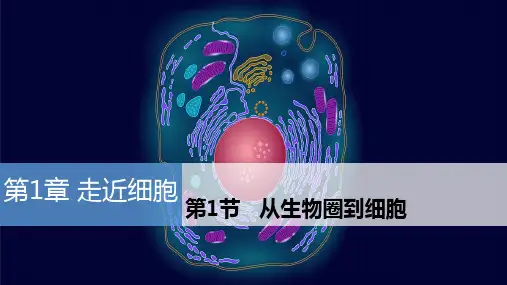 人教版高中生物必修1课件：1.1从生物圈到细胞(共24张PPT)