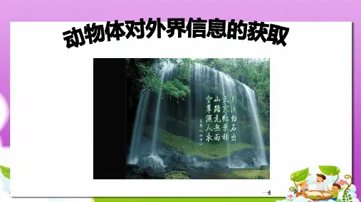 沪科版高中生命科学第二册5.1《动物体对外界信息的获取》ppt课件1