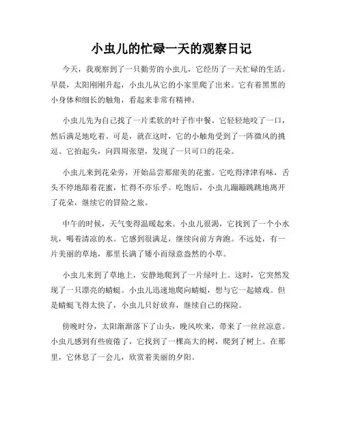 小学三年级作文小虫儿的忙碌一天的观察日记