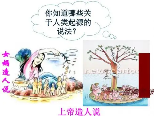 远古人类的足迹PPT课件2 岳麓版