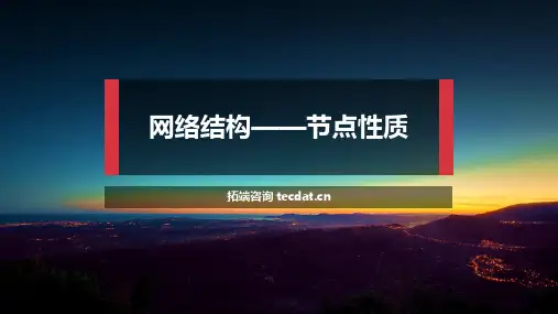【原创】社会网络分析 网络结构 节点 课件 PPT 完整版 图文