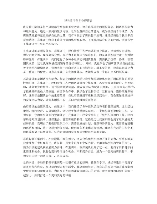 班长骨干集训心得体会