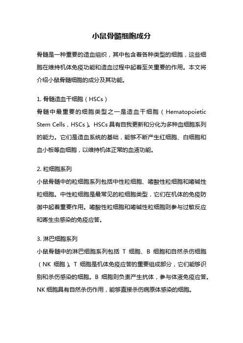 小鼠骨髓细胞成分