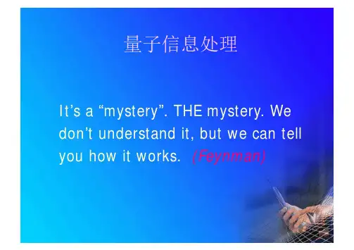 量子信息物理学：量子信息处理