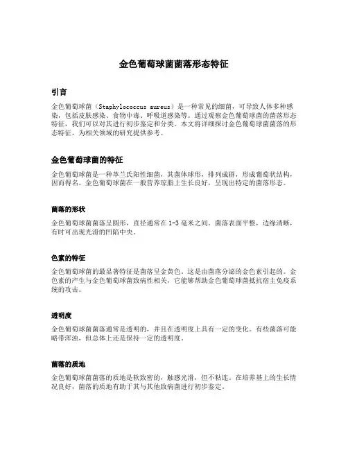 金色葡萄球菌菌落形态特征
