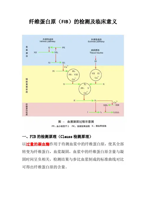 纤维蛋白原(FIB)的检测及临床意义