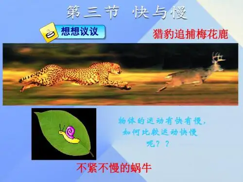 八年级物理2.3快与慢ppt课件(沪科版)