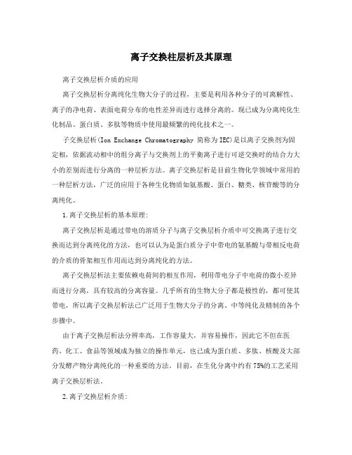 离子交换柱层析及其原理