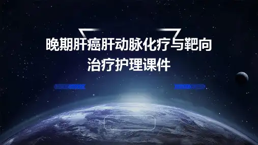 晚期肝癌肝动脉化疗与靶向治疗护理课件