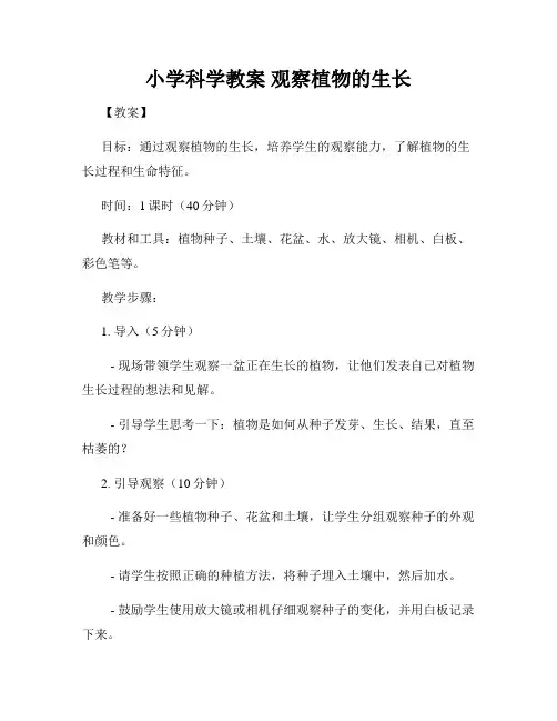 小学科学教案 观察植物的生长