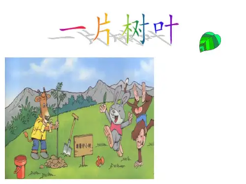 《一片树叶》课件