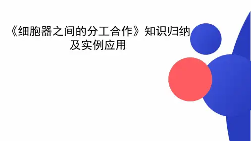 课件6 细胞器之间的分工合作-2024年高考生物复习知识解读及实例分析(全国通用)