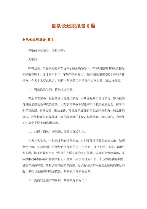 副队长述职报告6篇_1