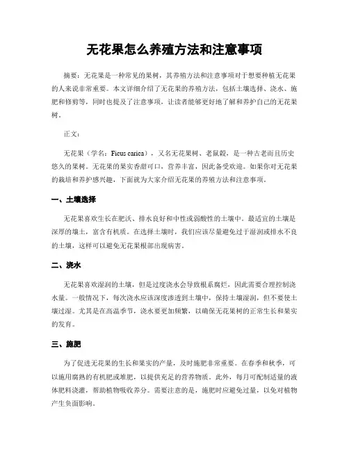 无花果怎么养殖方法和注意事项