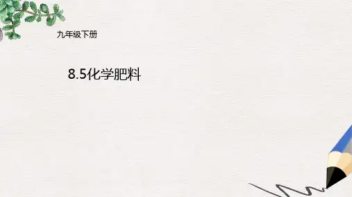 九年级化学下册8.5化学肥料课件新版粤教版