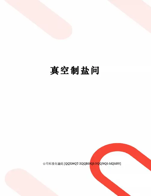 真空制盐问修订稿