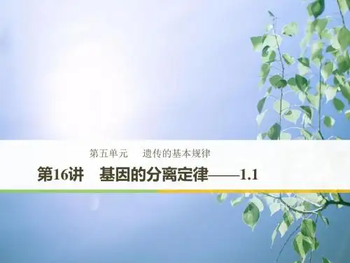 基因的分离定律PPT课件