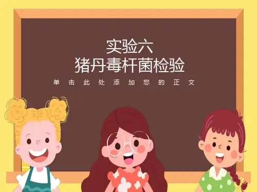 猪丹毒杆菌的检验