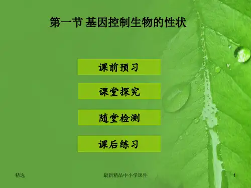 八年级生物下册7.2.1基因控制生物的性状课件新版新人教版