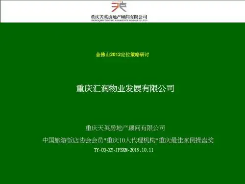 金佛山定位策略研讨共117页