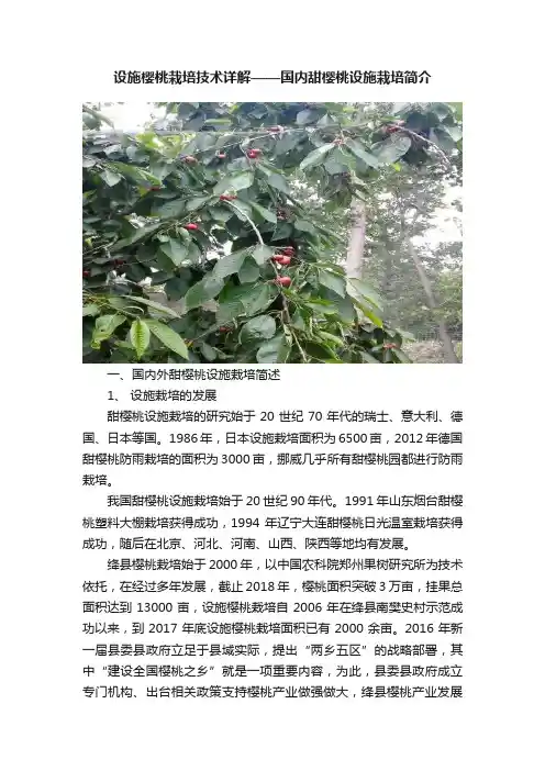 设施樱桃栽培技术详解——国内甜樱桃设施栽培简介