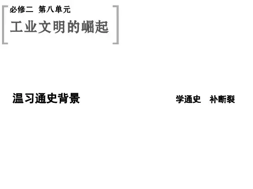 2015高考历史(山东)一轮课件：第17课时 新航路的开辟和欧洲殖民扩张与掠夺