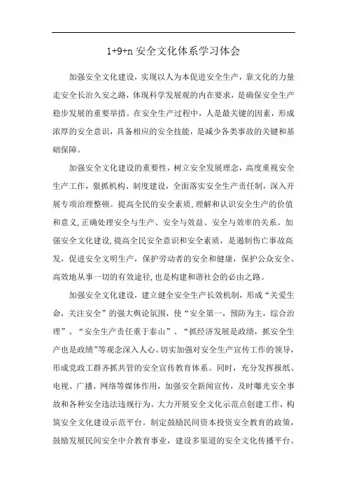 1+9+n安全文化体系学习体会