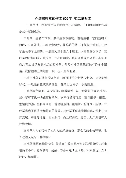 介绍三叶草的作文600字 初二说明文