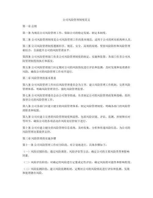 公司风险管理制度范文