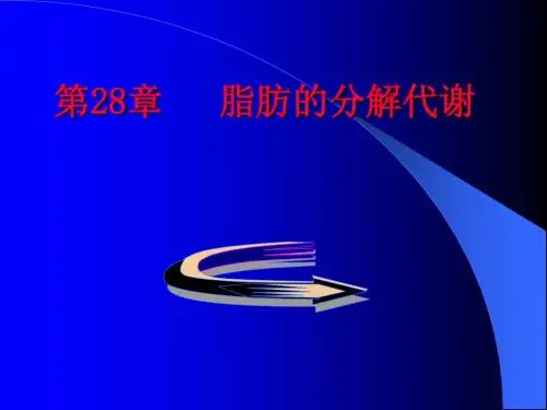第28章脂肪酸的分解代谢
