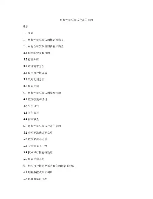 可行性研究报告存在的问题