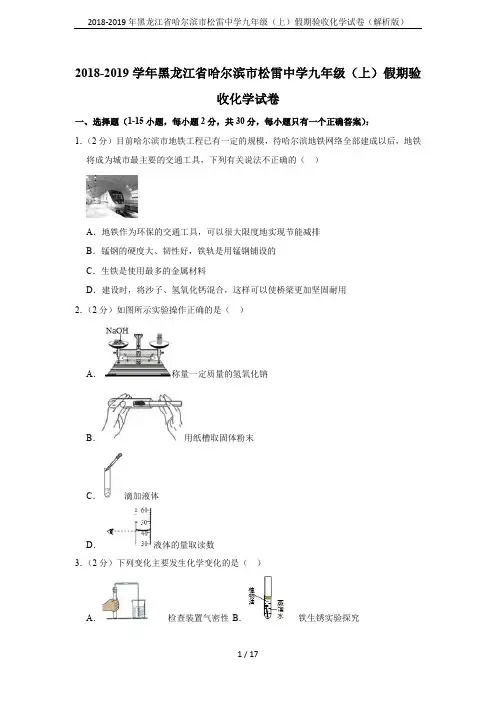 2018-2019年黑龙江省哈尔滨市松雷中学九年级(上)假期验收化学试卷(解析版)