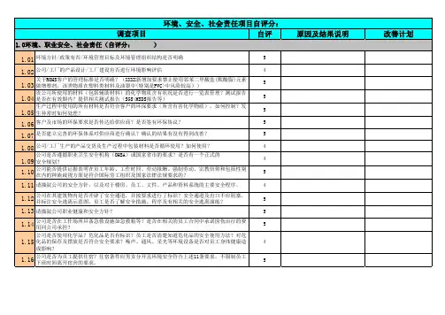供应商调查问卷(环境、安全、社会责任项目自评分)