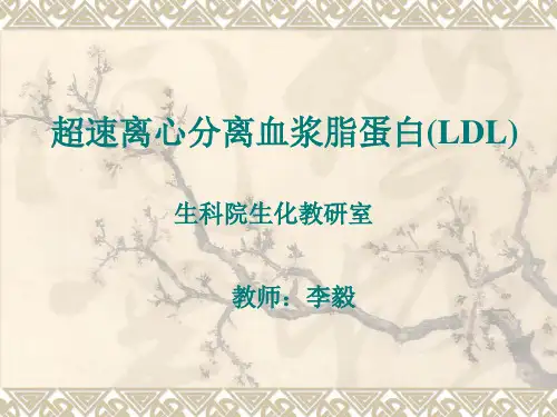 生化大实验生化大实验课件1讲义资料